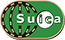 Suica